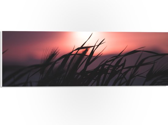 WallClassics - PVC Schuimplaat - Donkere Grassen bij Rozekleurige Lucht - 60x20 cm Foto op PVC Schuimplaat (Met Ophangsysteem)