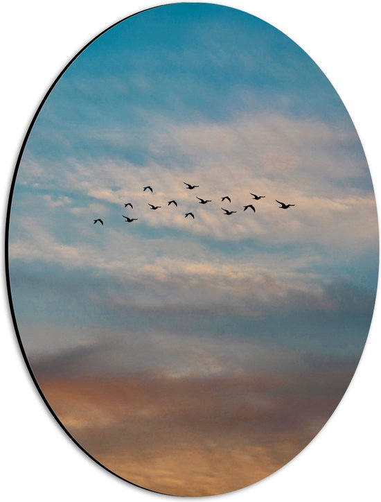 WallClassics - Dibond Ovaal - Groep Vliegende Vogels - 30x40 cm Foto op Ovaal (Met Ophangsysteem)