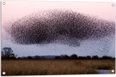 WallClassics - Tuinposter – Grote Zwerm Vogels in de Lucht - 90x60 cm Foto op Tuinposter  (wanddecoratie voor buiten en binnen)
