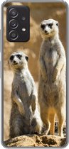 Geschikt voor Samsung Galaxy A53 5G hoesje - Rots - Stokstaartjes - Dieren - Siliconen Telefoonhoesje