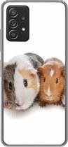 Geschikt voor Samsung Galaxy A53 5G hoesje - Vijf cavia's - Siliconen Telefoonhoesje