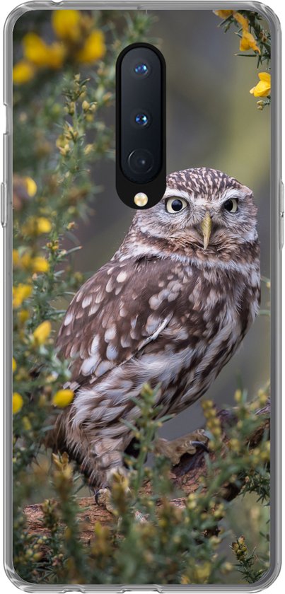 Telefoonhoesje kopen? Binnen 30 min afhalen of morgen bezorgd Telefoonhoesje kopen? Binnen 30 min afhalen of morgen bezorgd