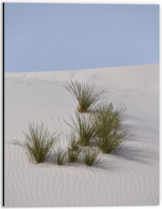 WallClassics - Dibond - Grassen in het Zand in Duinen - 30x40 cm Foto op Aluminium (Wanddecoratie van metaal)