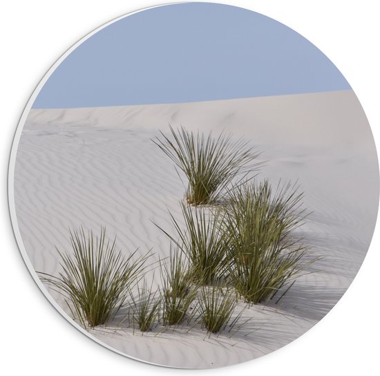 WallClassics - PVC Schuimplaat Muurcirkel - Grassen in het Zand in Duinen - 20x20 cm Foto op Muurcirkel (met ophangsysteem)