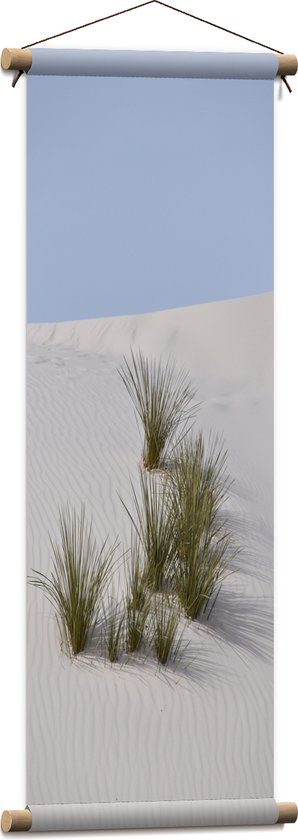 WallClassics - Textielposter - Grassen in het Zand in Duinen - 30x90 cm Foto op Textiel