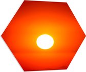 WallClassics - PVC Schuimplaat Hexagon  - Felle Zon - 70x60.9 cm Foto op Hexagon (Met Ophangsysteem)