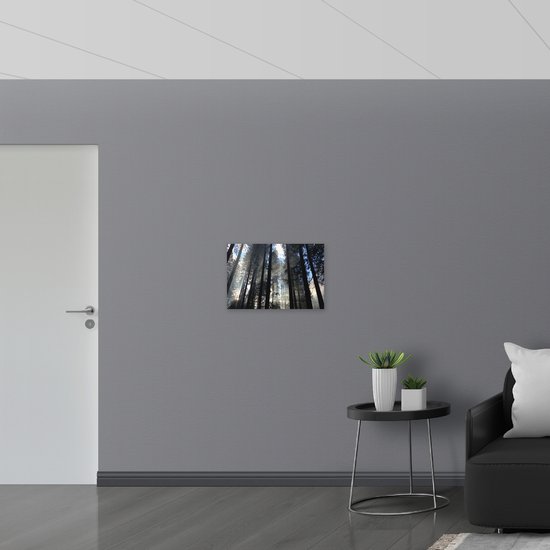 WallClassics - Poster Glossy - Arbres Sombres avec Soleil - 60x40 cm Photo sur Papier Poster avec Finition Brillante