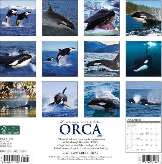 Orca Kalender 2025 