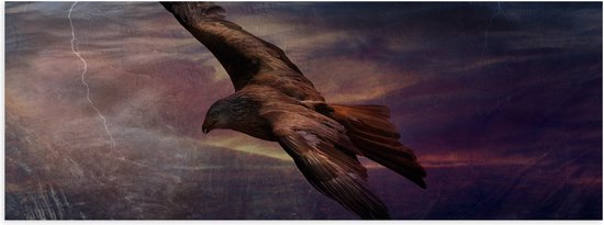 WallClassics - Poster Glanzend – Golden Eagle Vliegend - 90x30 cm Foto op Posterpapier met Glanzende Afwerking