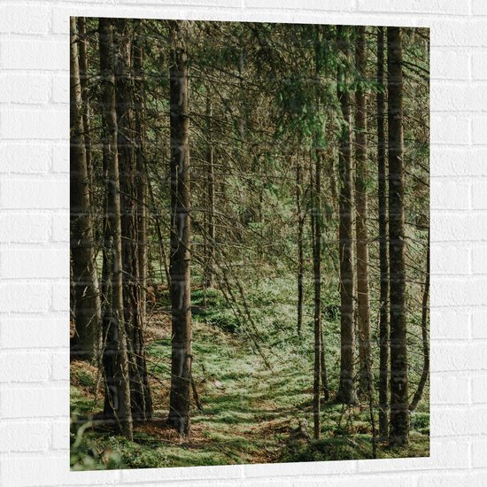 WallClassics - Muursticker - Feuilles vertes au Terre des Arbres - 75x100 cm Photo sur Muursticker