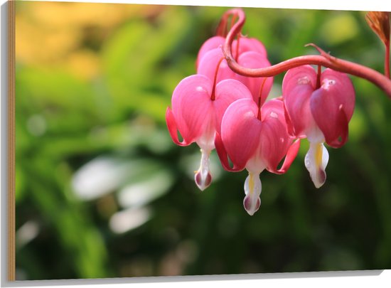 WallClassics - Hout - Gebroken Hartjes Plant in het Roze - 100x75 cm - 12 mm dik - Foto op Hout (Met Ophangsysteem)