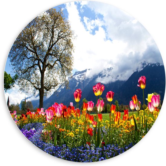 WallClassics - PVC Schuimplaat Muurcirkel - Felgekleurde Bloemen in het Veld met Berg en Boom - 60x60 cm Foto op Muurcirkel (met ophangsysteem)