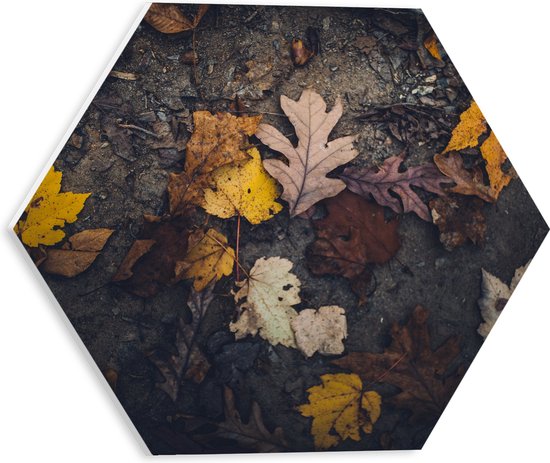 WallClassics - PVC Schuimplaat Hexagon  - Herfstbladeren in het Zand - 30x26.1 cm Foto op Hexagon (Met Ophangsysteem)