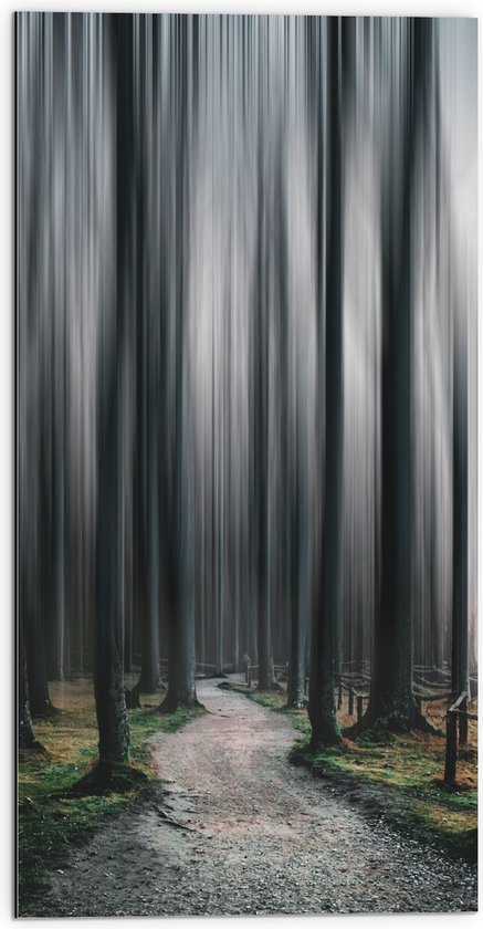 WallClassics - Dibond - Hele Hoge Abstracte Bomen - 50x100 cm Foto op Aluminium (Wanddecoratie van metaal)