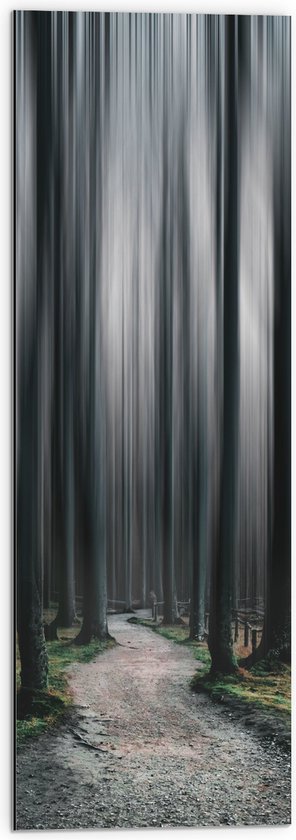 WallClassics - Dibond - Hele Hoge Abstracte Bomen - 30x90 cm Foto op Aluminium (Wanddecoratie van metaal)