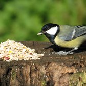Aniculis - Premium Onkruidvrij tuinvogelvoer (5 kg) - Vogels voeren zonder onkruid - No Mess - No Grow - Geschikt om het hele jaar door te voeren