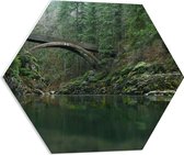 WallClassics - PVC Schuimplaat Hexagon  - Moulton Falls Bridge - Brug in het Bos - 60x52.2 cm Foto op Hexagon (Met Ophangsysteem)