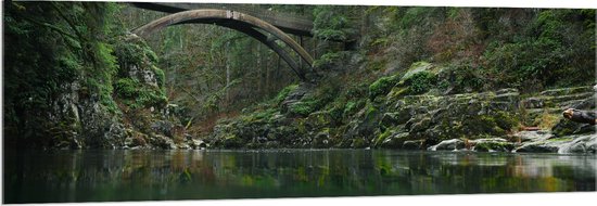 WallClassics - Acrylglas - Moulton Falls Bridge - Brug in het Bos - 150x50 cm Foto op Acrylglas (Wanddecoratie op Acrylaat)