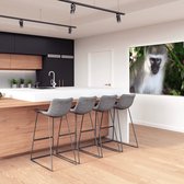 Meester Aan De Muur - Schilderij - Doek Schilderstuk Muurdecoratie Fotokunst Tafereel Monkey Looking At... - Multicolor - 120 X 80 Cm