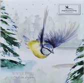 Bekking & Blitz - Kerstkaartenmapje - Set Kerstkaarten - Kunstkaarten - 10 stuks - Inclusief enveloppen - Winter vogels - Michelle Dujardin, Vogelbescherming