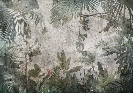Papier peint photo - Forêt tropicale dans le brouillard