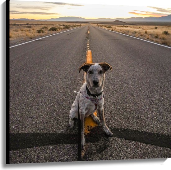 WallClassics - Canvas  - Brave Hond Zit op de Weg - 100x100 cm Foto op Canvas Schilderij (Wanddecoratie op Canvas)