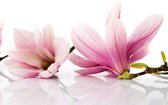 Fotobehangkoning - Behang - Vliesbehang - Fotobehang - Magnolia bloem - 350 x 270 cm