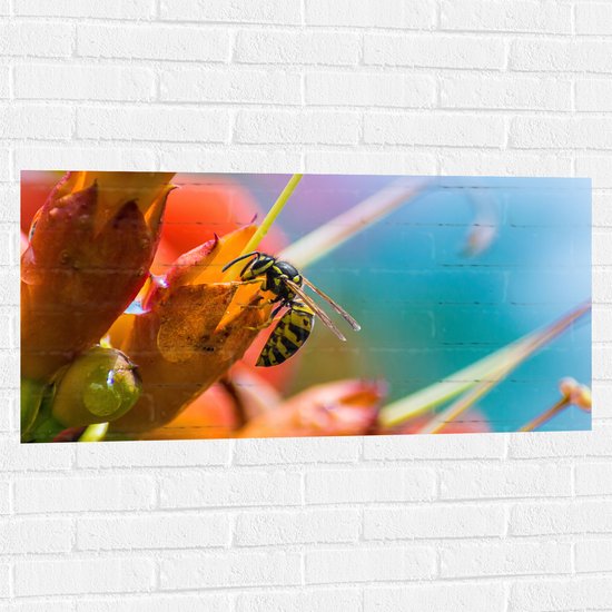 WallClassics - Muursticker - Bij op Rode Bloemen - 100x50 cm Foto op Muursticker