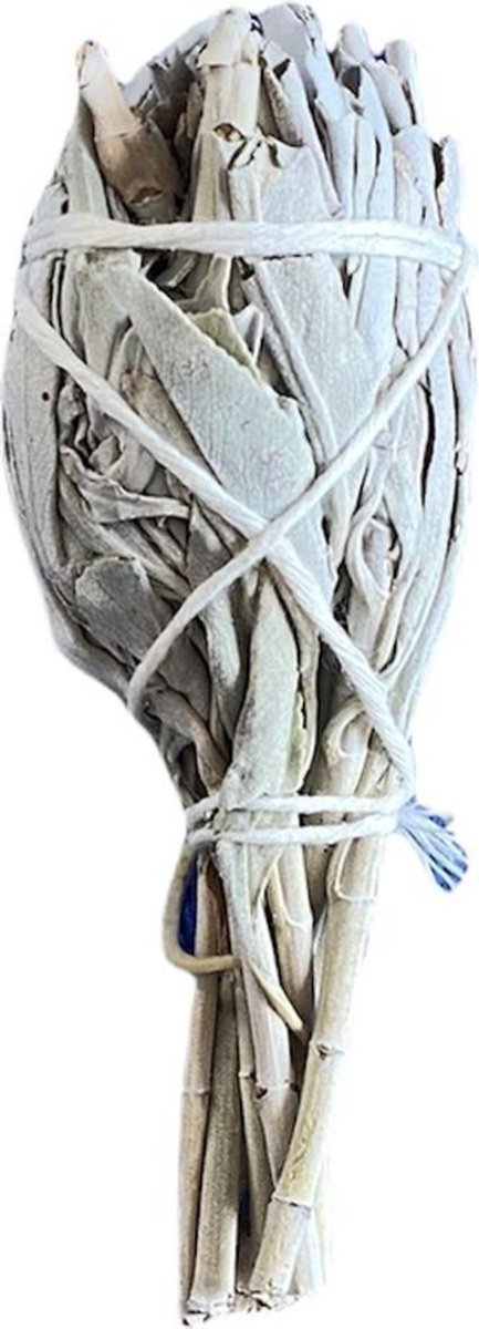 Reinig je huis pakket - Smudge Kit XS - Witte salie - Palo Santo sticks, Abalone schelp - incl. handleiding NL - voor energetische reiniging - original — cadeau in Cadeau-ideeën - foto 2