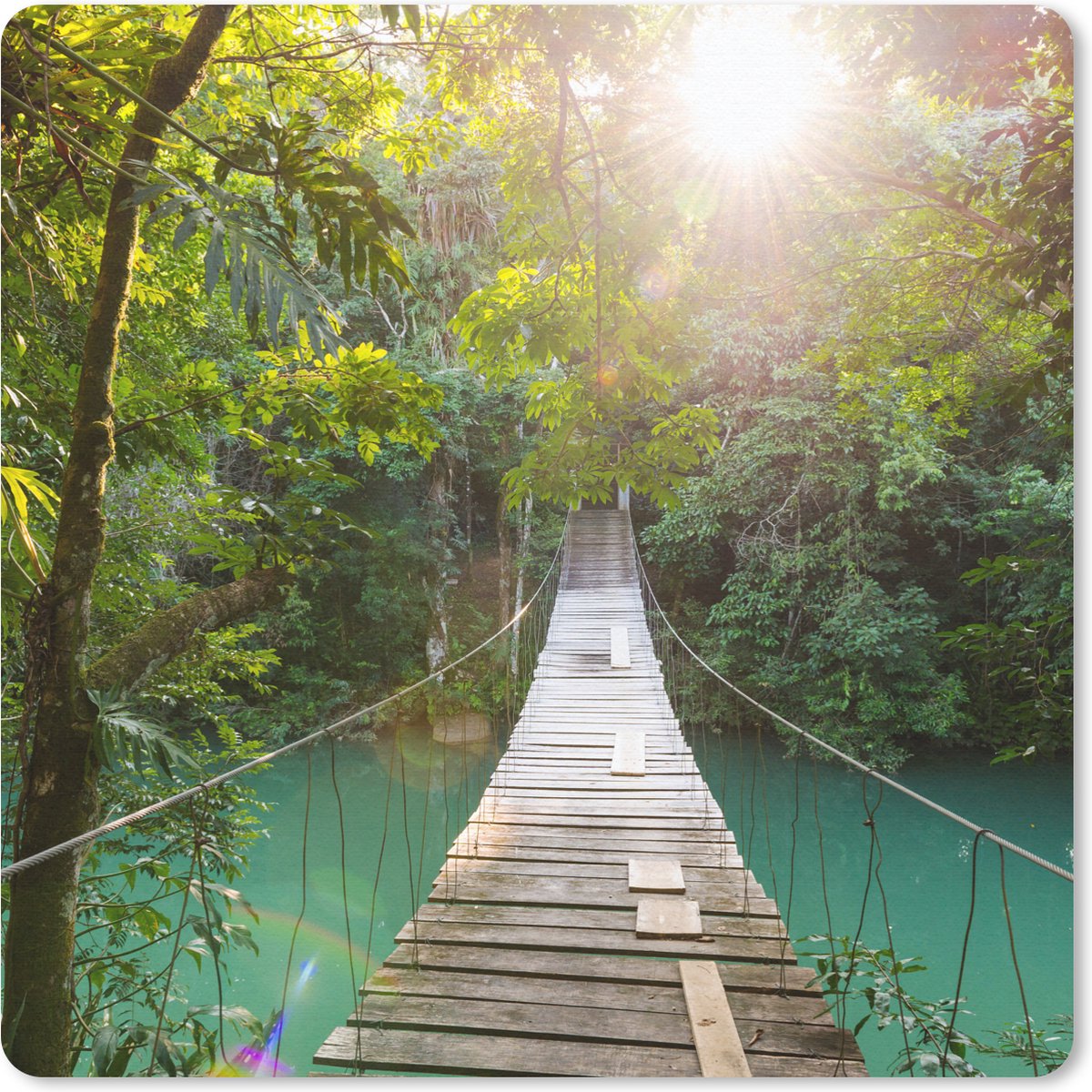 Muismat 20x20 cm - Mousepad Jungle - Water - Brug - Natuur - Planten - Muismatten