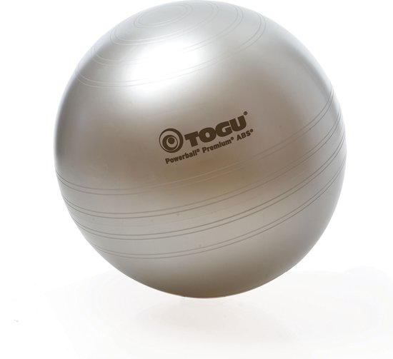 TOGU Powerball Premium ABS - 55 cm - zilver