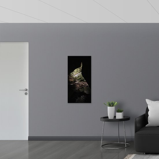 WallClassics - Drapeau - Petite Grotte Sombre dans la Forêt - Photo 50x100 cm sur Drapeau Polyester