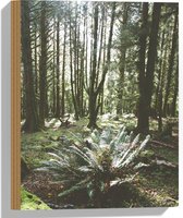 WallClassics - Hout - Grote Groene Varenplant in Bos - 30x40 cm - 12 mm dik - Foto op Hout (Met Ophangsysteem)