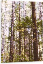 WallClassics - Dibond - Dunne Takken aan Bomen - 80x120 cm Foto op Aluminium (Met Ophangsysteem)
