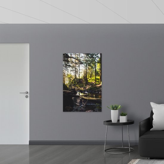 WallClassics - Hout - Takken vallend over Riviertje in het Bos - 80x120 cm - 12 mm dik - Foto op Hout (Met Ophangsysteem)