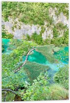 WallClassics - Panneau en mousse PVC - Parc national des lacs de Plitvice en Croatie - Photo 60x90 cm sur panneau en mousse PVC (avec système de suspension)