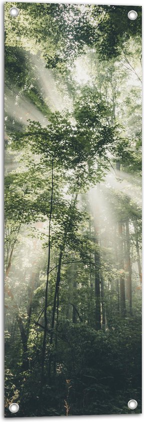 WallClassics - Tuinposter – Felle Lichtstralen door Greoene Takken van Bomen in Bos - 30x90 cm Foto op Tuinposter  (wanddecoratie voor buiten en binnen)