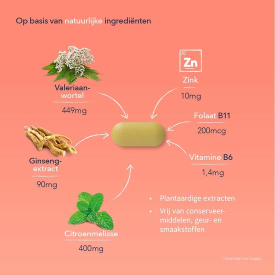 Afbeelding met ingrediënten van valeriaan, ginseng extract, citroenmelisse, zink, folaat b11 en vitamine b6.