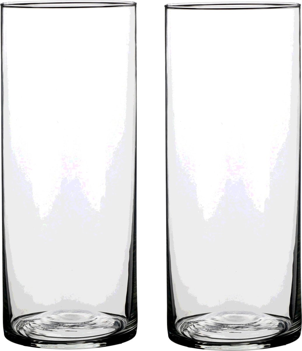 Mica Decorations Vaas - 2x - cilinder - helder glas - D12 x H25 cm - Bloemenvaas Transparant