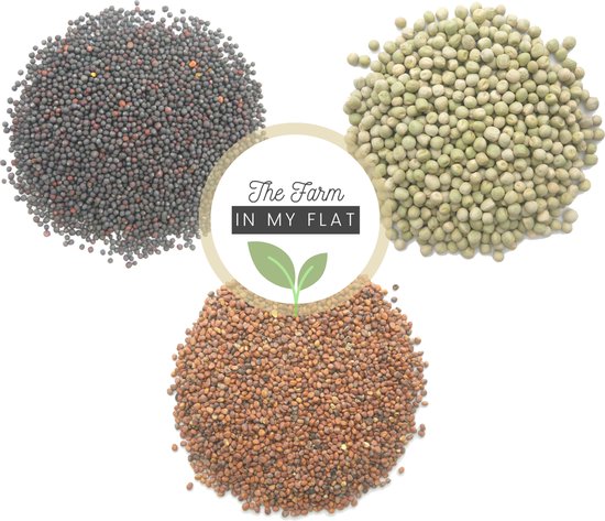 Variatie-set Kiemzaden 3x 100g | Broccoli, Erwten scheuten & Radijs ...