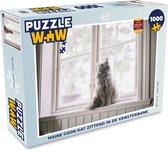 Puzzel Maine Coon kat zittend in de vensterbank - Legpuzzel - Puzzel 1000 stukjes volwassenen