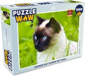 Puzzel Siamese kat tussen het gras - Legpuzzel - Puzzel 1000 stukjes volwassenen