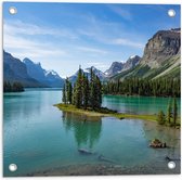 WallClassics - Tuinposter – Klein Eilandje met Bomen - 50x50 cm Foto op Tuinposter  (wanddecoratie voor buiten en binnen)