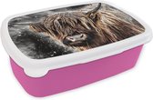 Broodtrommel Roze - Lunchbox - Brooddoos - Schotse hooglander - Verf - Koe - 18x12x6 cm - Kinderen - Meisje
