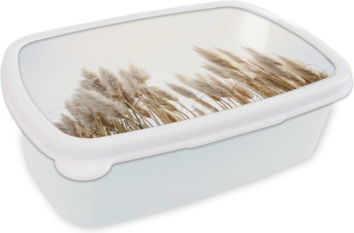 Broodtrommel Wit - Lunchbox - Brooddoos - Graan - Lucht - Pastel - 18x12x6 cm - Volwassenen