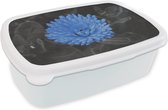 Lunch box Wit - Lunch box - Boîte à pain - Fleurs - Zwart - Wit - Blauw - 18x12x6 cm - Adultes