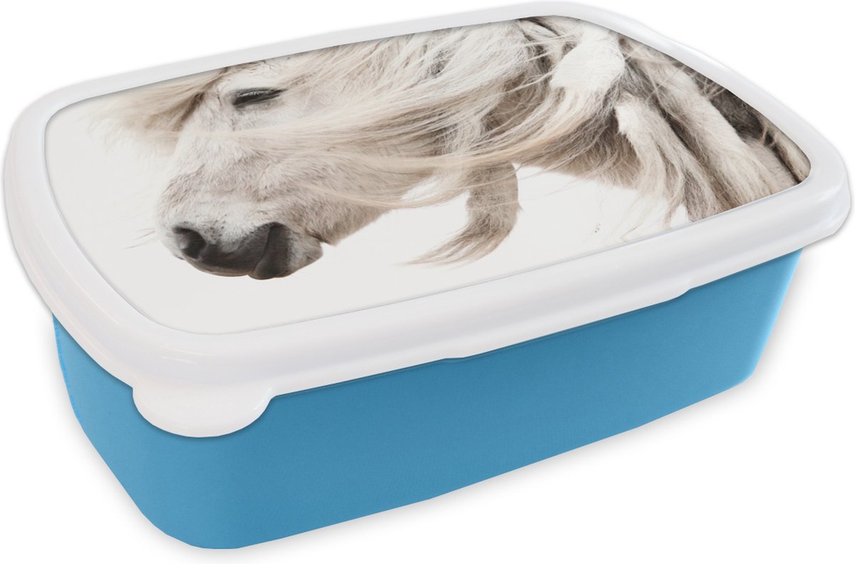 Broodtrommel Blauw - Lunchbox - Brooddoos - Paard - Manen - Wit - 18x12x6 cm - Kinderen - Jongen