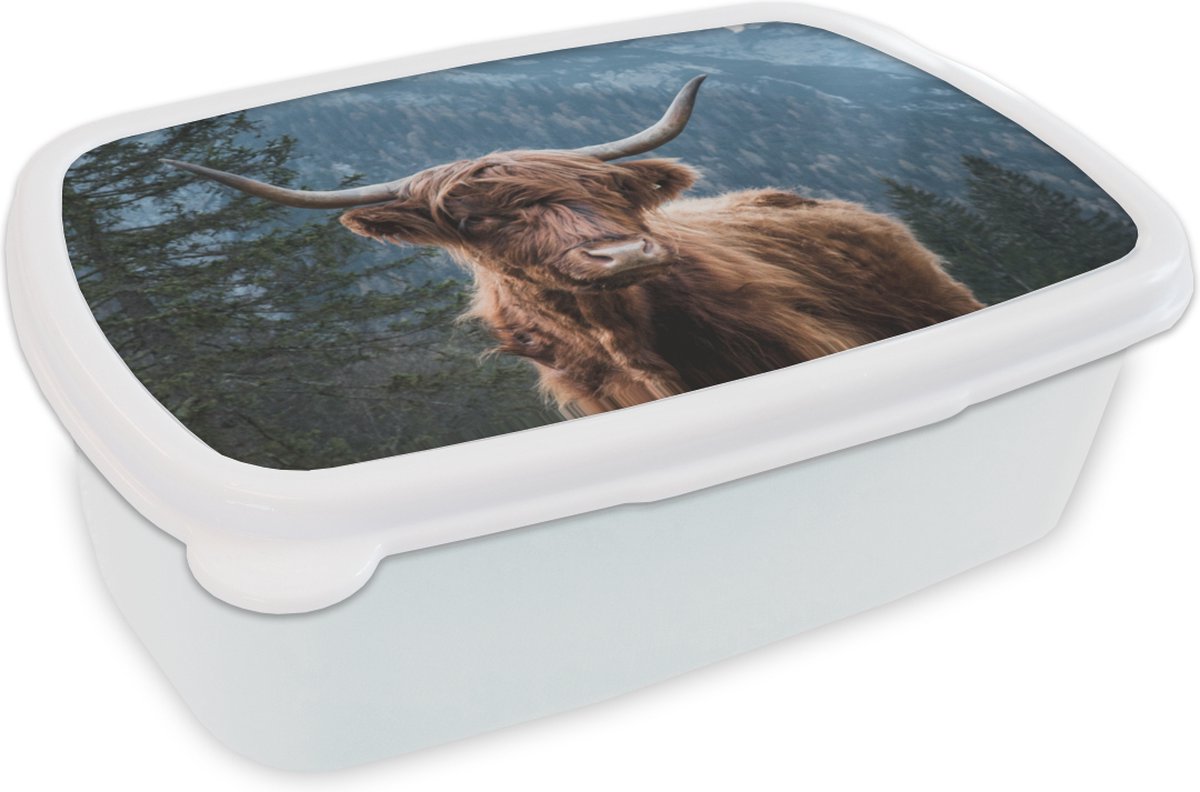 Broodtrommel Wit - Lunchbox - Brooddoos - Schotse hooglander - Bos - Den - 18x12x6 cm - Volwassenen
