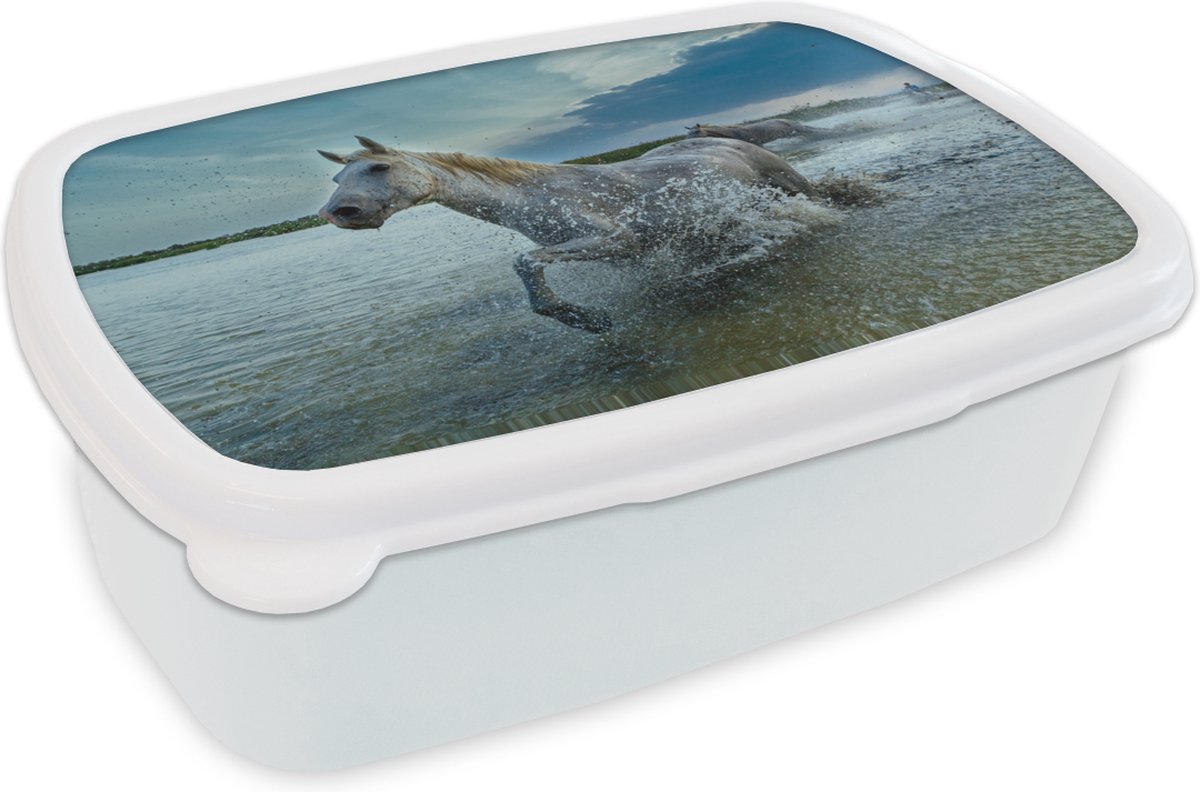 Broodtrommel Wit - Lunchbox - Brooddoos - Paard - Water - Druppel - 18x12x6 cm - Volwassenen