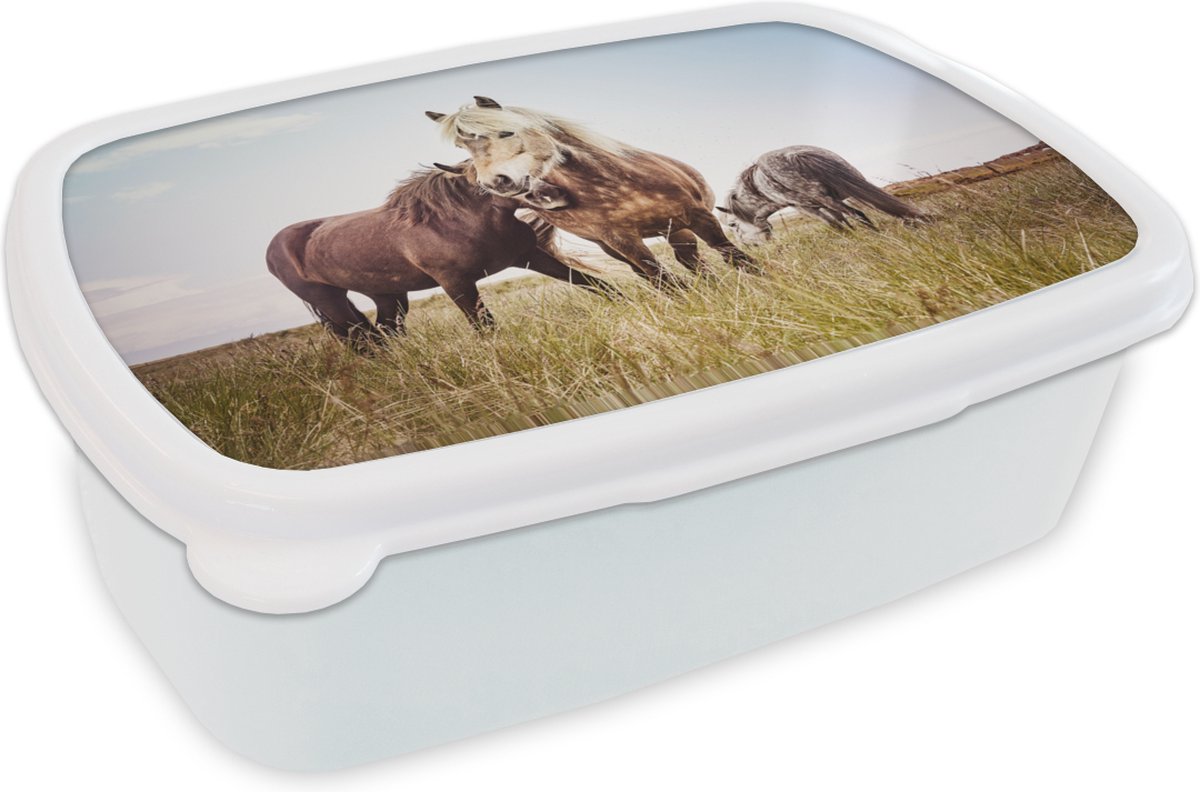 Broodtrommel Wit - Lunchbox - Brooddoos - Paarden - Gras - Lente - 18x12x6 cm - Volwassenen